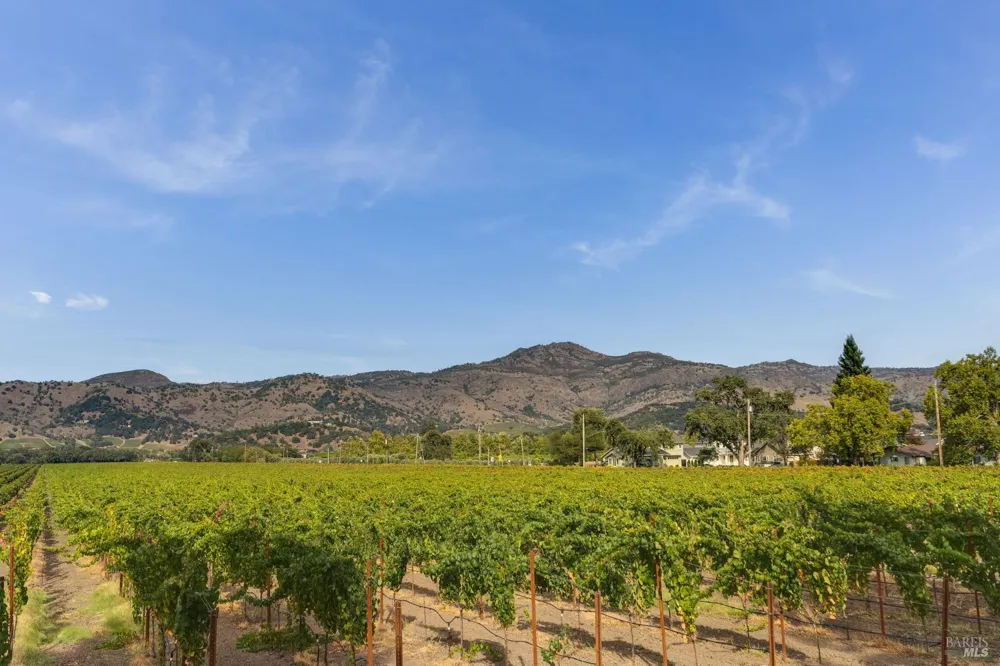 6950 Yount Street Yountville, CA 94599