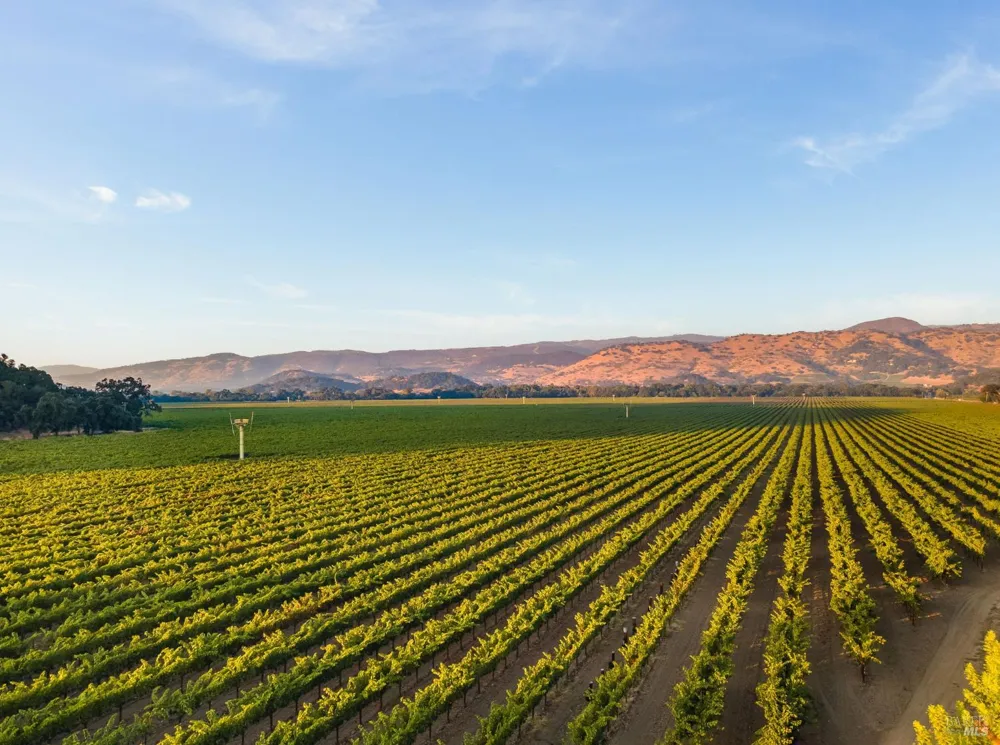 6950 Yount Street Yountville, CA 94599
