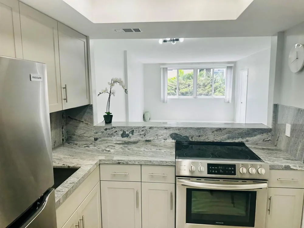 1333 E HALLANDALE BEACH BOULEVARD #302 Hallandale Beach, FL 33009