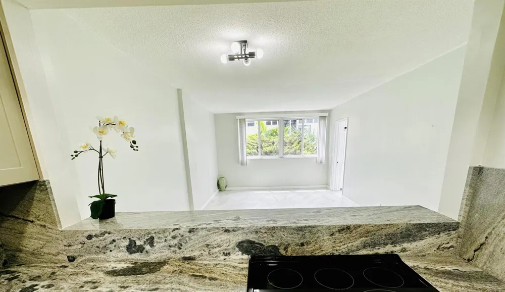 1333 E HALLANDALE BEACH BOULEVARD #302 Hallandale Beach, FL 33009