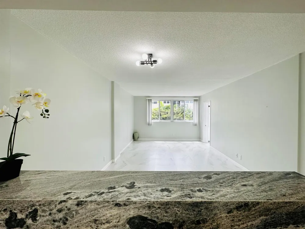 1333 E HALLANDALE BEACH BOULEVARD #302 Hallandale Beach, FL 33009
