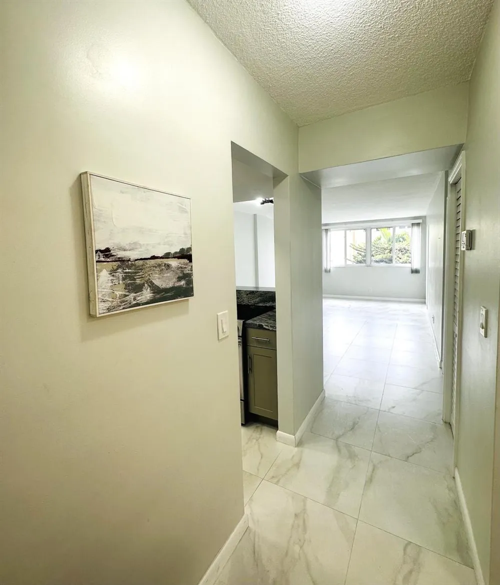 1333 E HALLANDALE BEACH BOULEVARD #302 Hallandale Beach, FL 33009