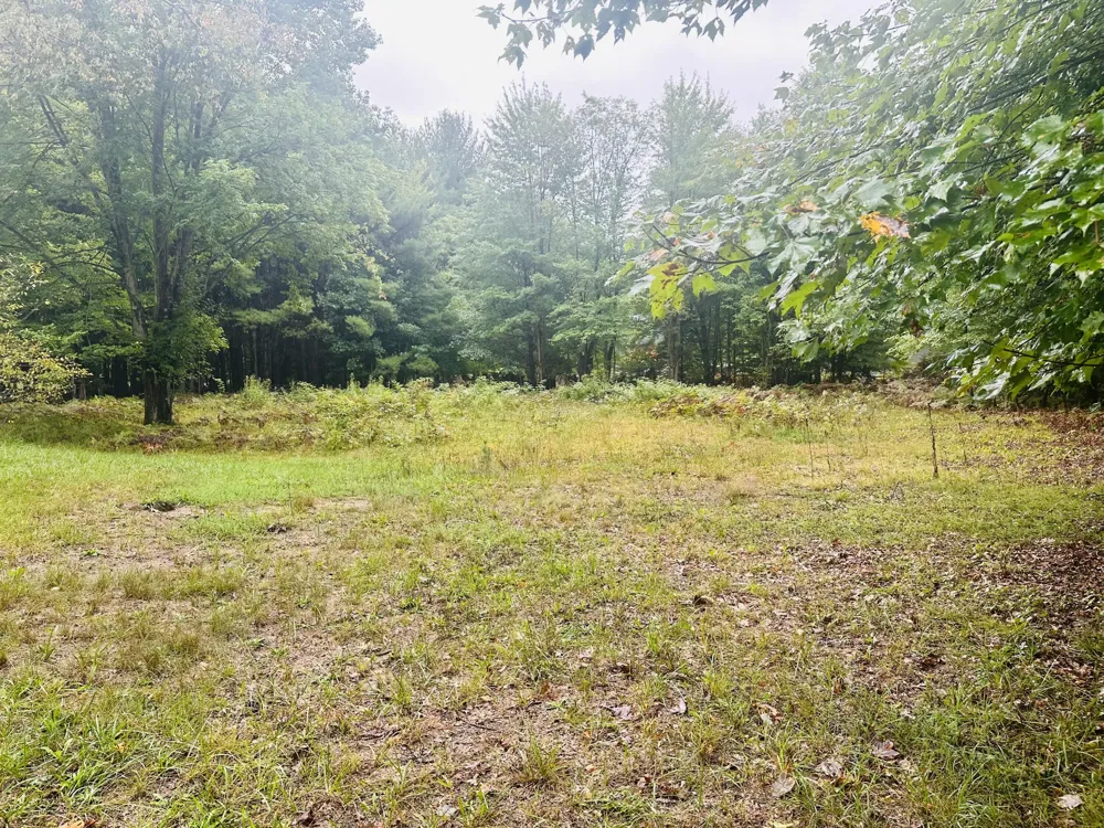 1505 Green Creek Road Laketon Township, MI 49445