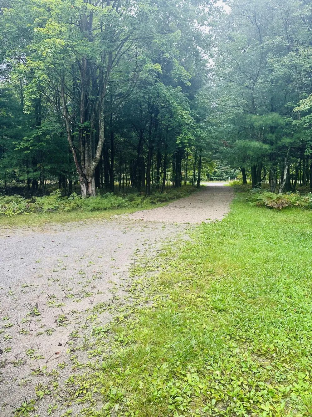 1505 Green Creek Road Laketon Township, MI 49445