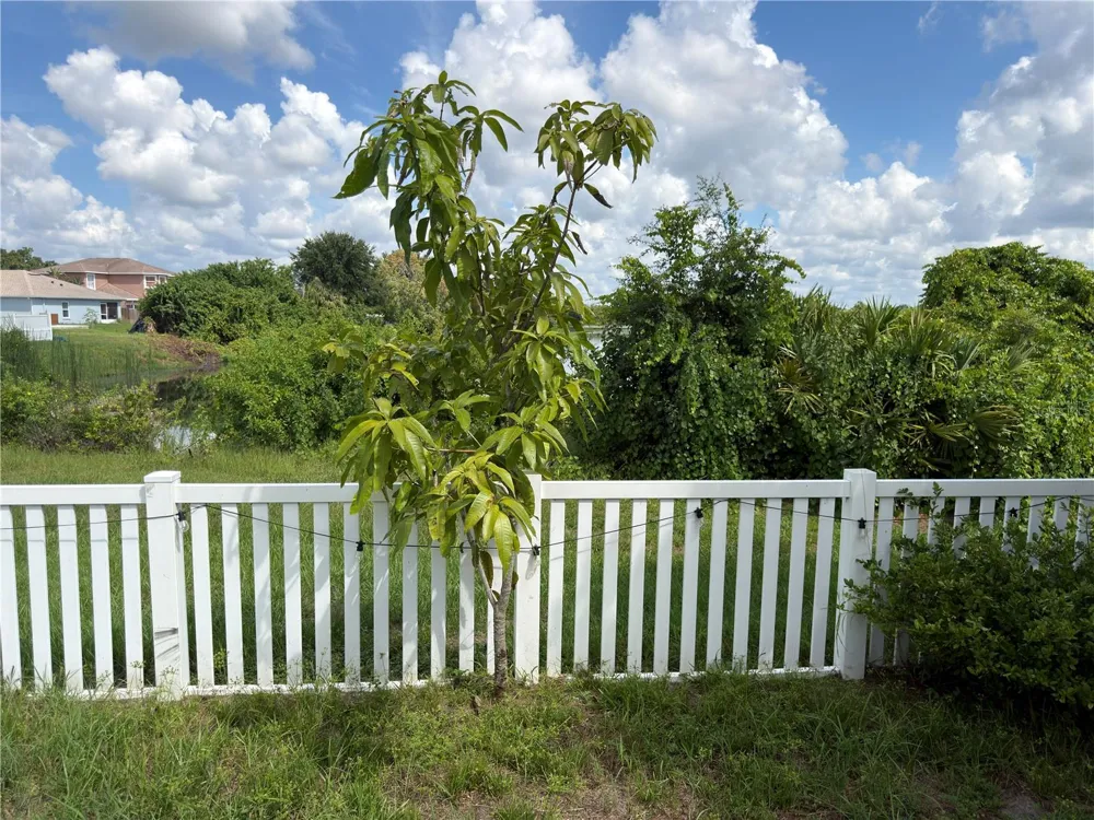 11340 SOUTHWIND LAKE DRIVE Gibsonton, FL 33534