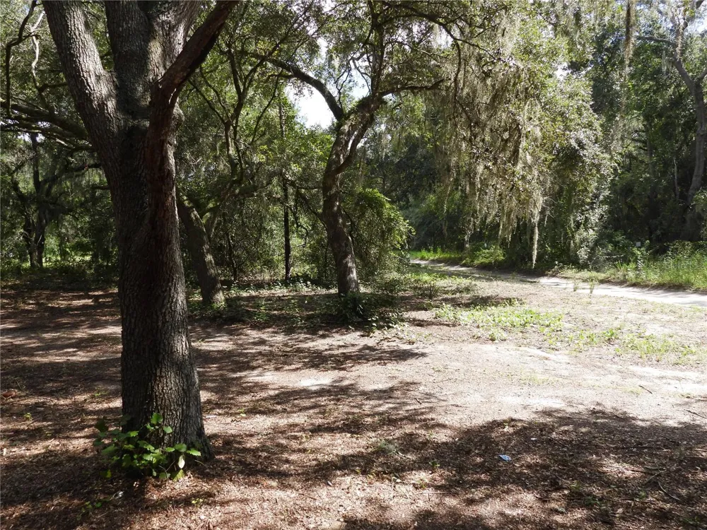 12214 SE 112TH AVENUE ROAD Belleview, FL 34420