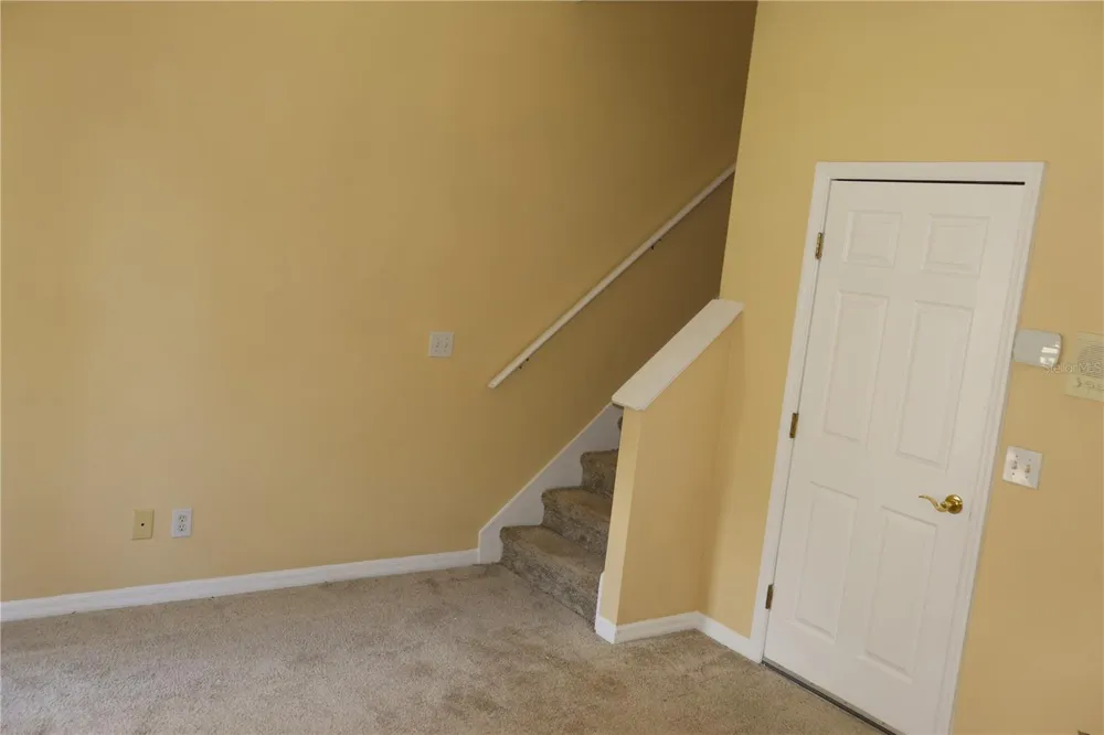 3019 POINTEVIEW DRIVE Tampa, FL 33611