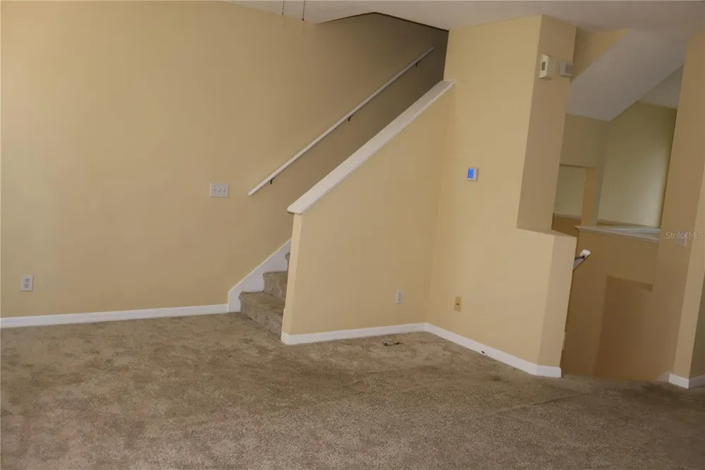 3019 POINTEVIEW DRIVE Tampa, FL 33611