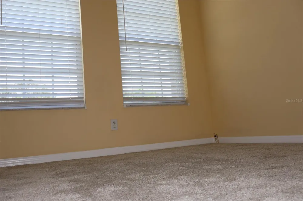 3019 POINTEVIEW DRIVE Tampa, FL 33611