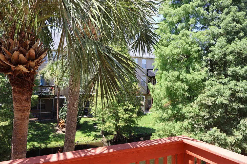 3019 POINTEVIEW DRIVE Tampa, FL 33611