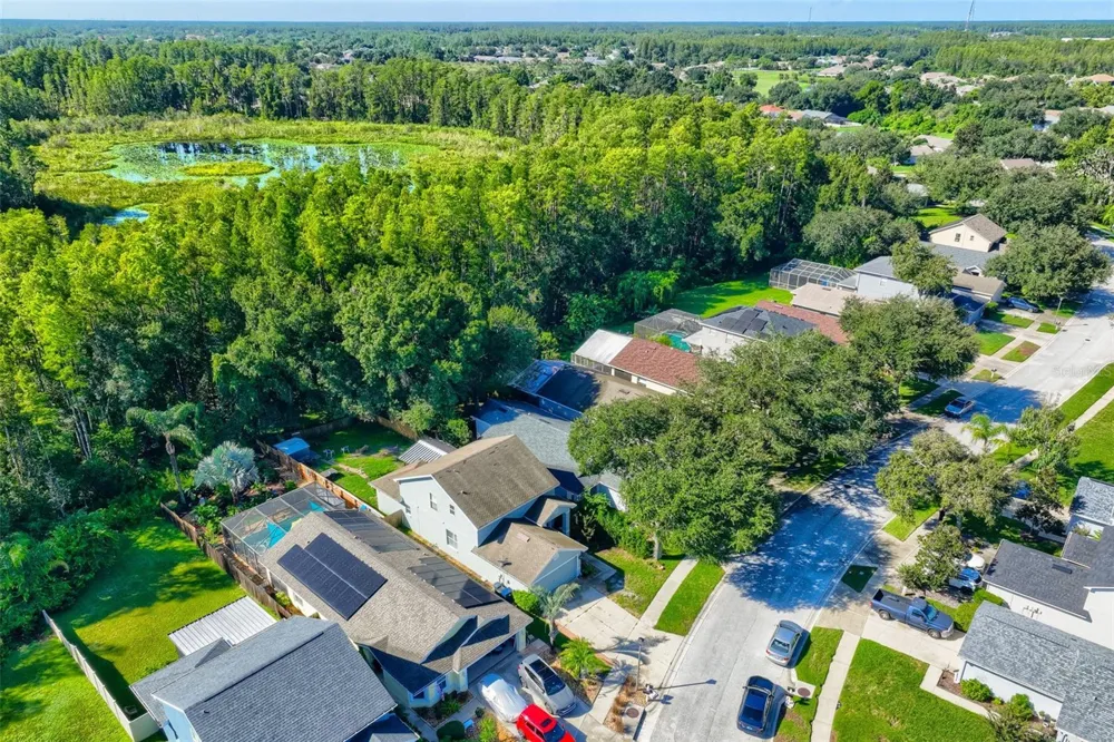 7902 CITRUS BLOSSOM DRIVE Land O Lakes, FL 34637