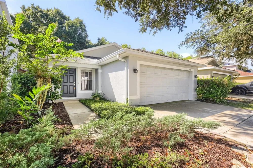 7902 CITRUS BLOSSOM DRIVE Land O Lakes, FL 34637