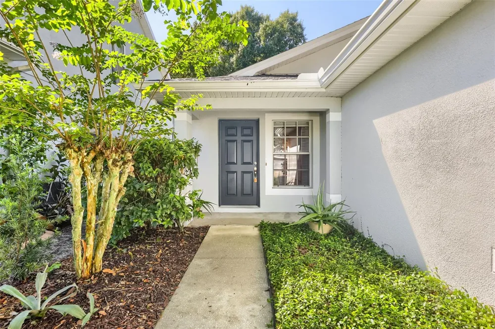 7902 CITRUS BLOSSOM DRIVE Land O Lakes, FL 34637