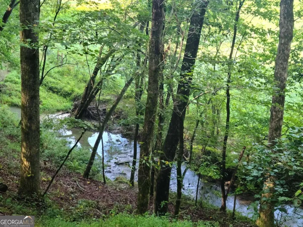 255 Clear Creek Preserve WAY Ellijay, GA 30536