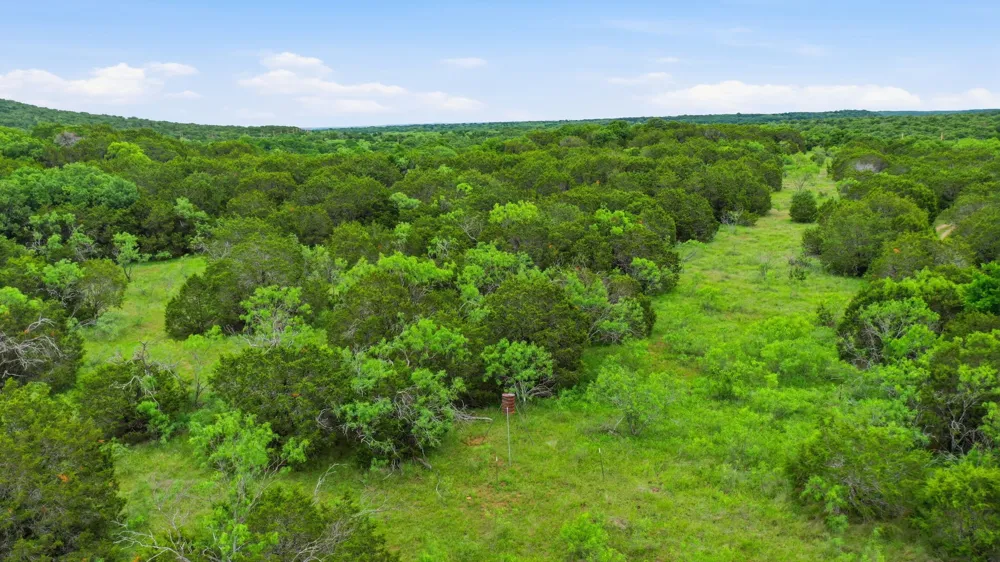 Dobbs Valley Road Millsap, TX 76066