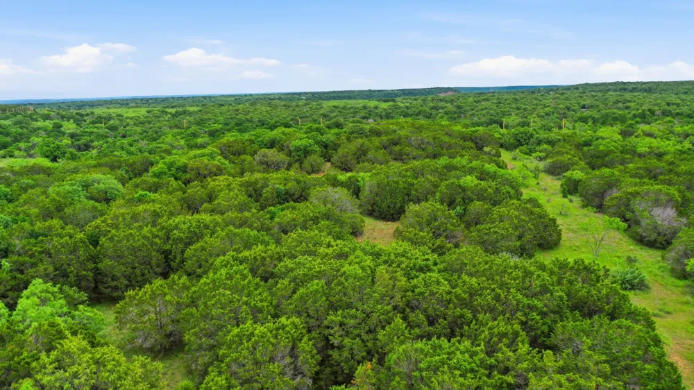 Dobbs Valley Road Millsap, TX 76066
