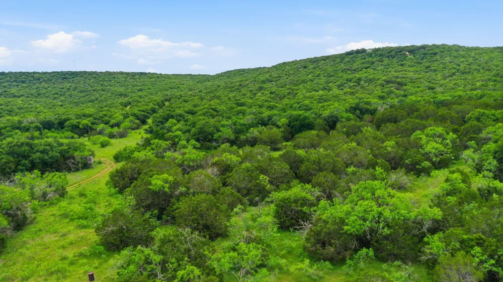 Dobbs Valley Road Millsap, TX 76066