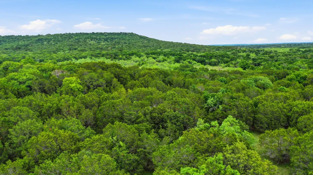 Dobbs Valley Road Millsap, TX 76066