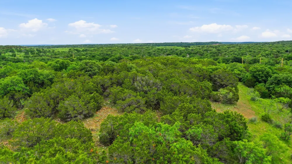 Dobbs Valley Road Millsap, TX 76066