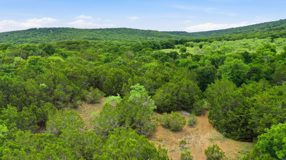 Dobbs Valley Road Millsap, TX 76066