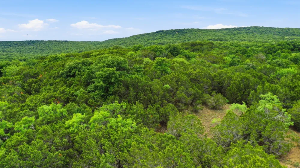 Dobbs Valley Road Millsap, TX 76066