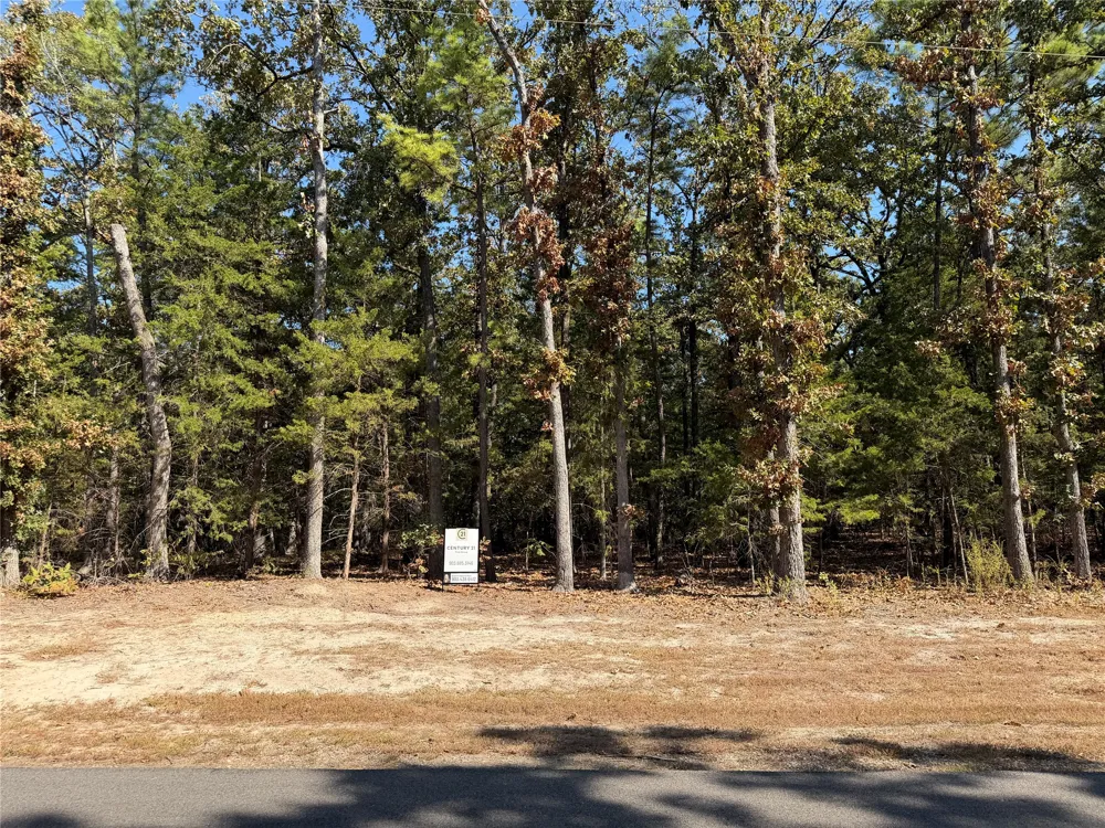 Whispering Pine Trail Mount Vernon, TX 75457