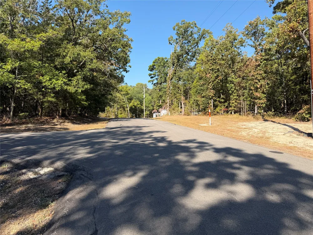 Whispering Pine Trail Mount Vernon, TX 75457