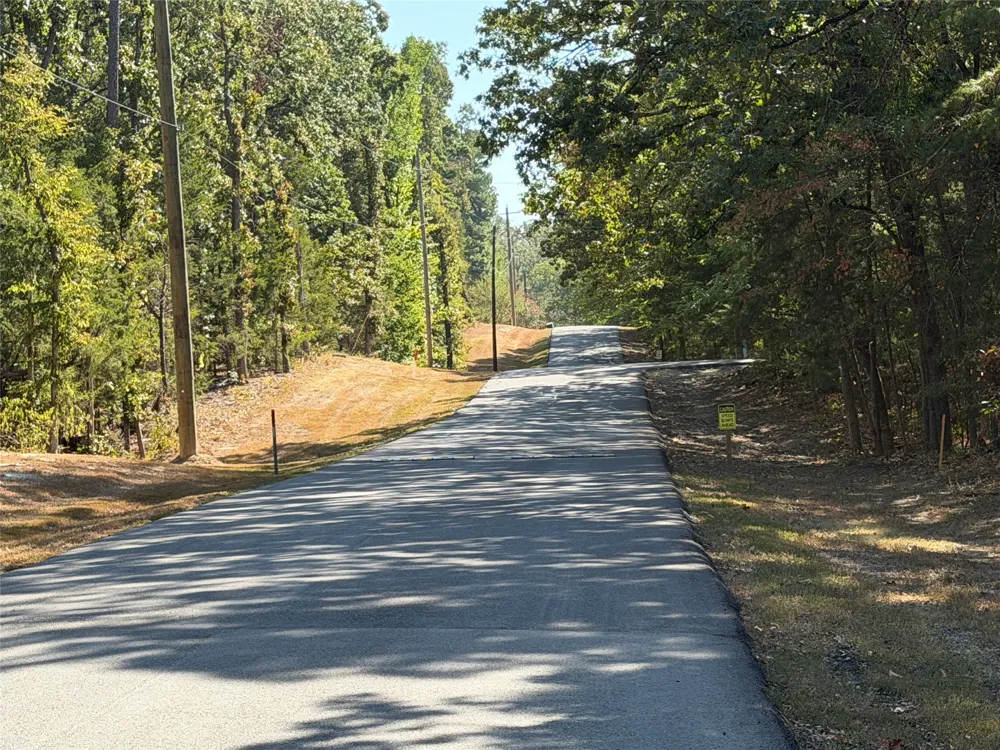 Whispering Pine Trail Mount Vernon, TX 75457