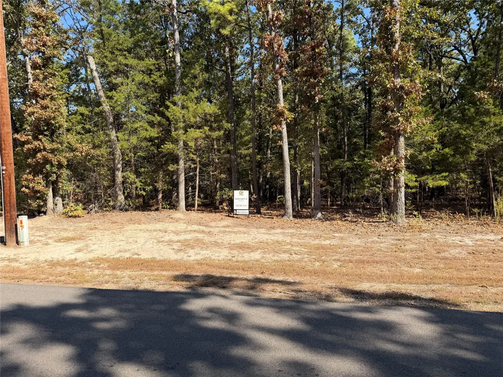Whispering Pine Trail Mount Vernon, TX 75457