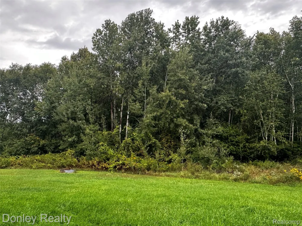 5753 Denhoff Road Koylton Township, MI 48741