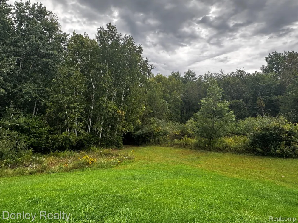 5753 Denhoff Road Koylton Township, MI 48741