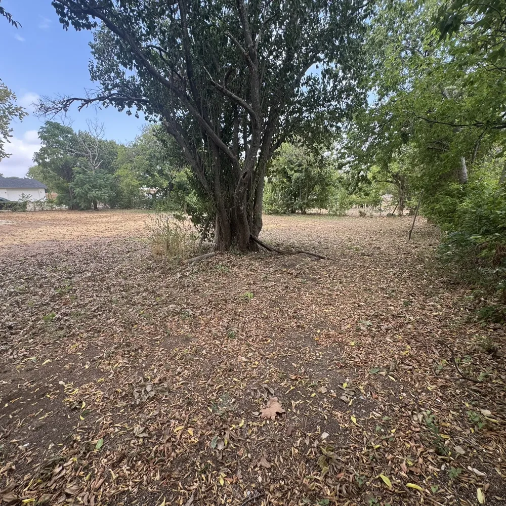 314 Arthur Street McGregor, TX 76657