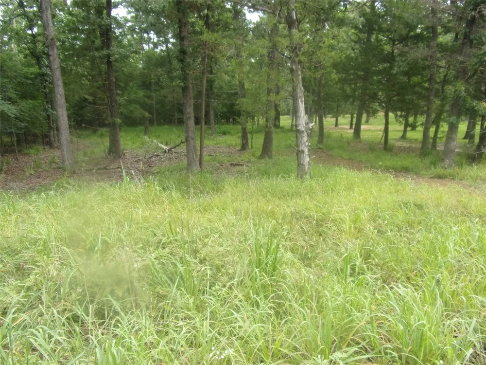 944 Whipporwill Murchison, TX 75778