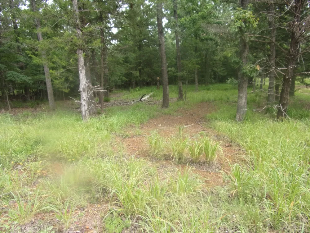 944 Whipporwill Murchison, TX 75778