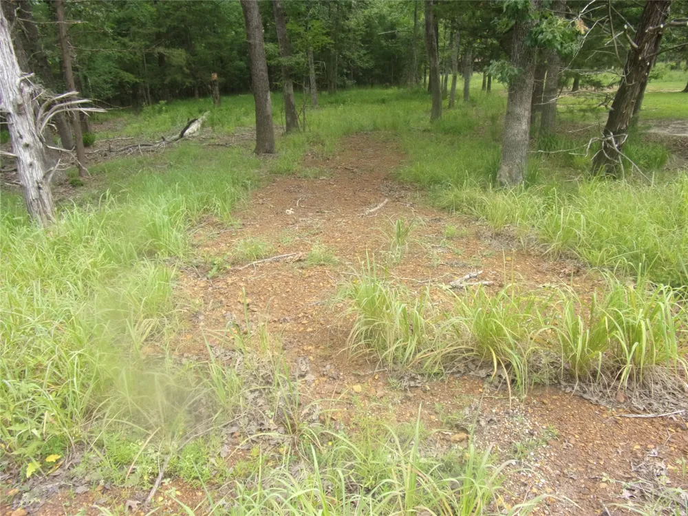 944 Whipporwill Murchison, TX 75778