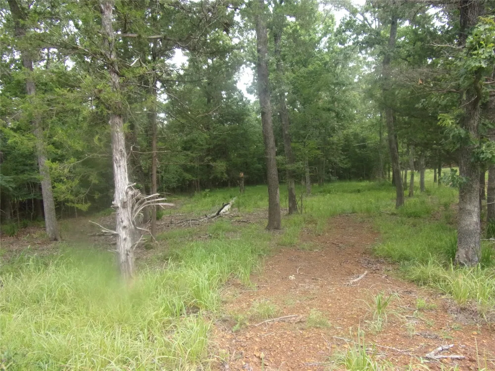 944 Whipporwill Murchison, TX 75778