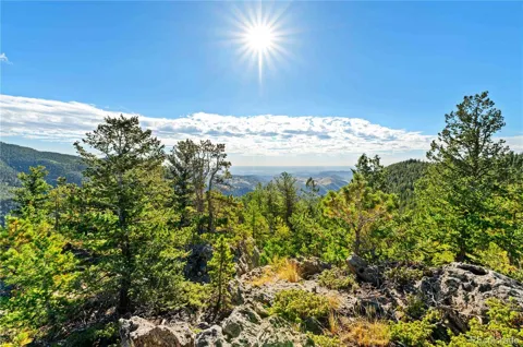 Lot F Gray Wolf Trail