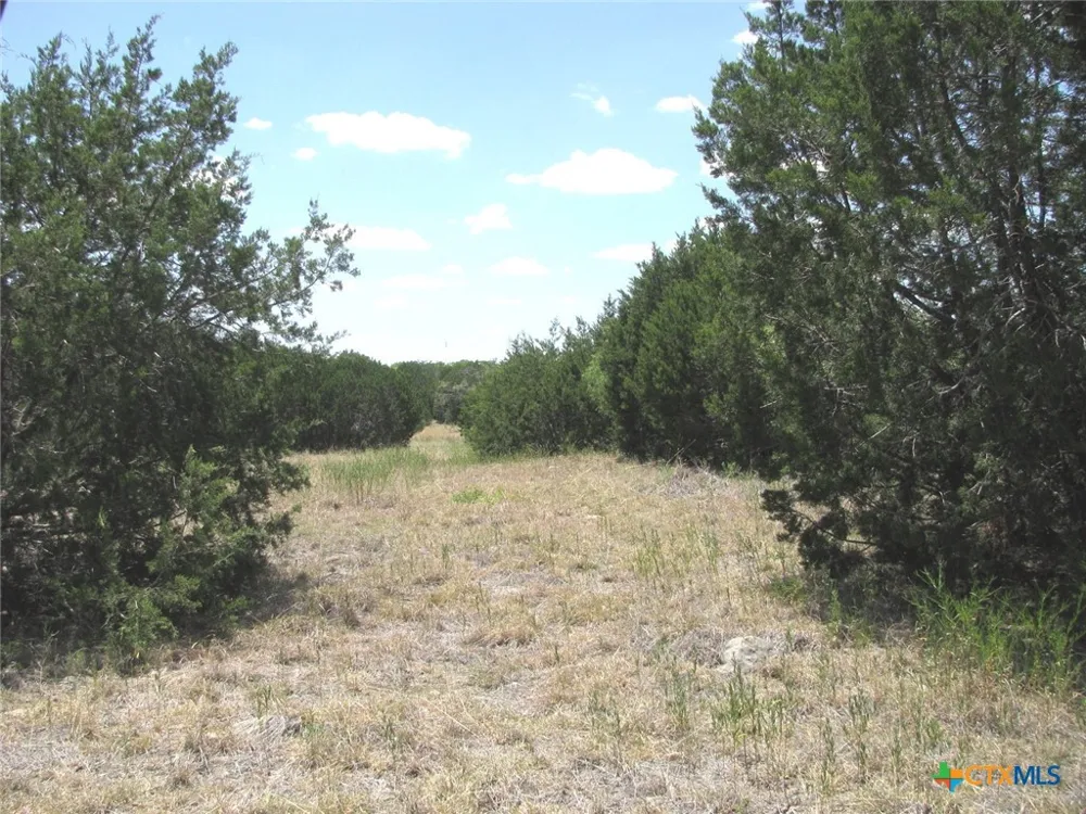 23 PR 4218 Evant, TX 76525