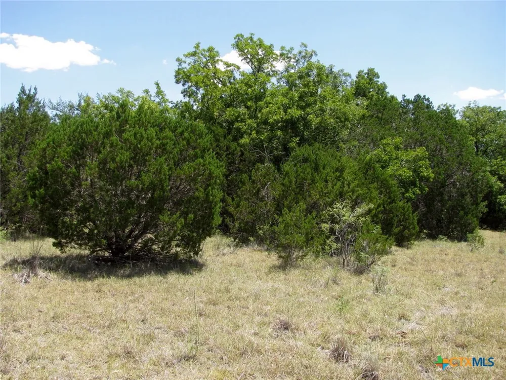 23 PR 4218 Evant, TX 76525