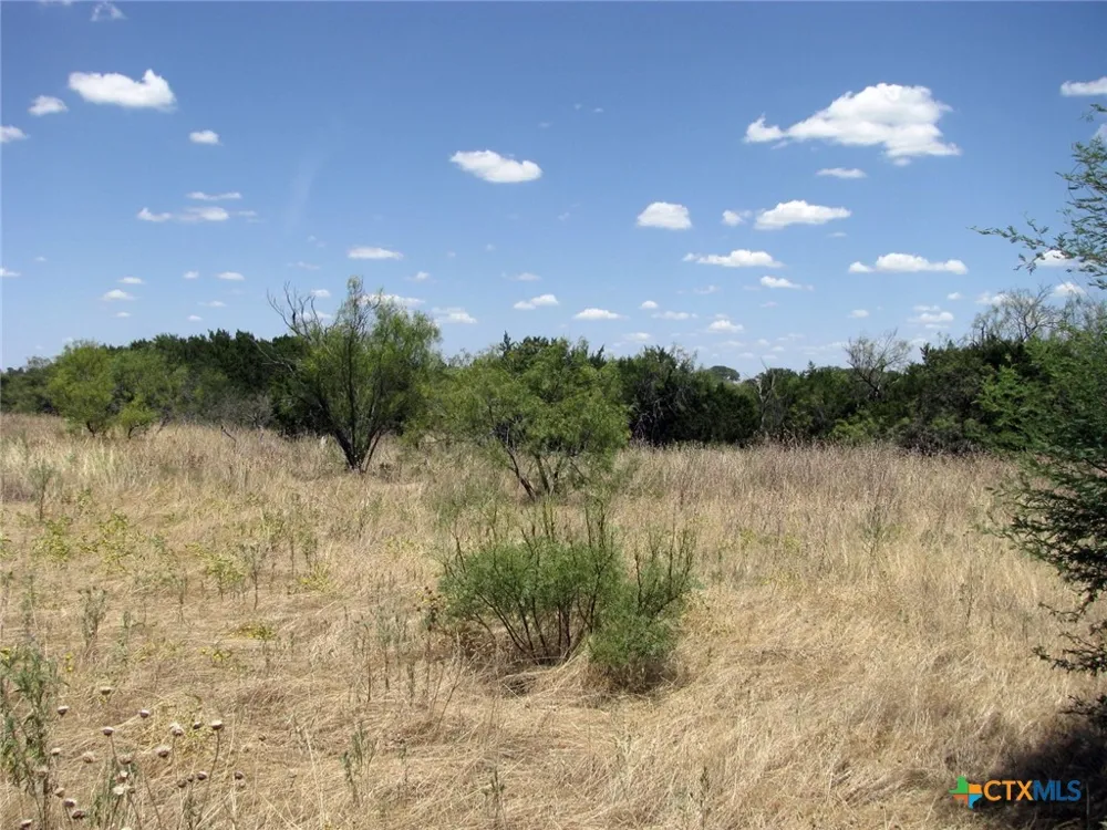 23 PR 4218 Evant, TX 76525