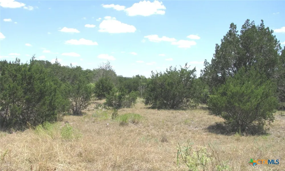 23 PR 4218 Evant, TX 76525
