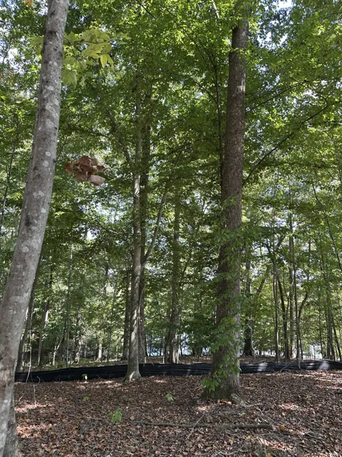 33 Heron Point