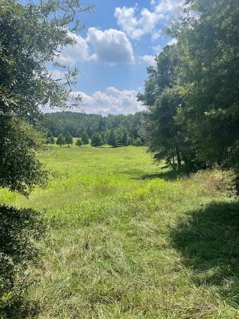 Lot 8 Captains Court