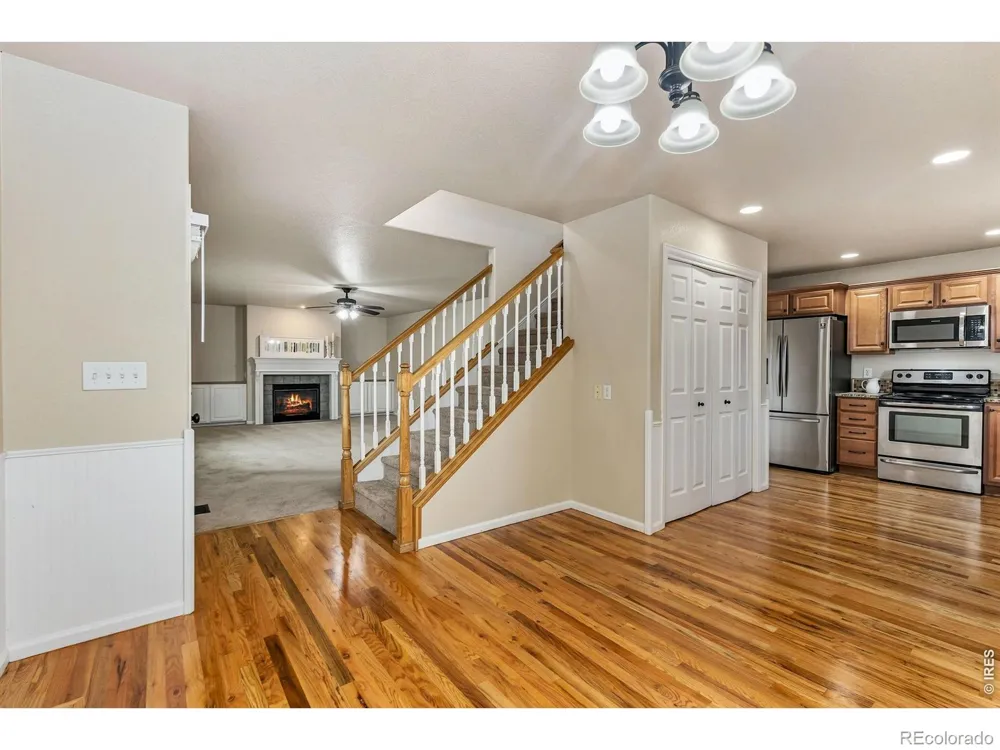 894 Durum Street Windsor, CO 80550