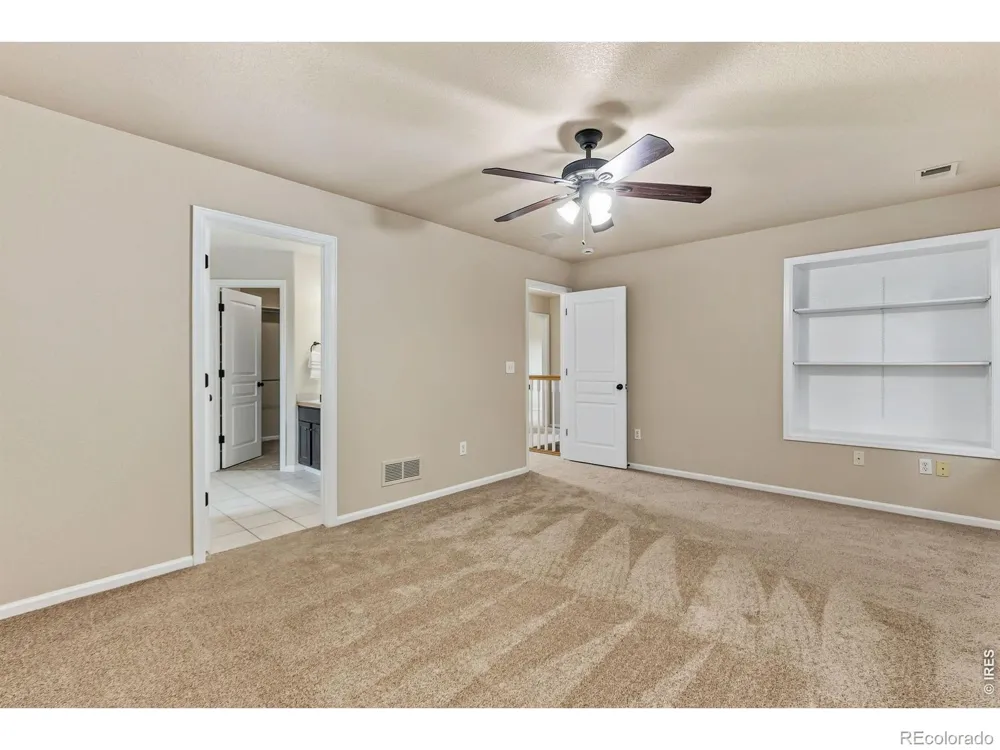 894 Durum Street Windsor, CO 80550
