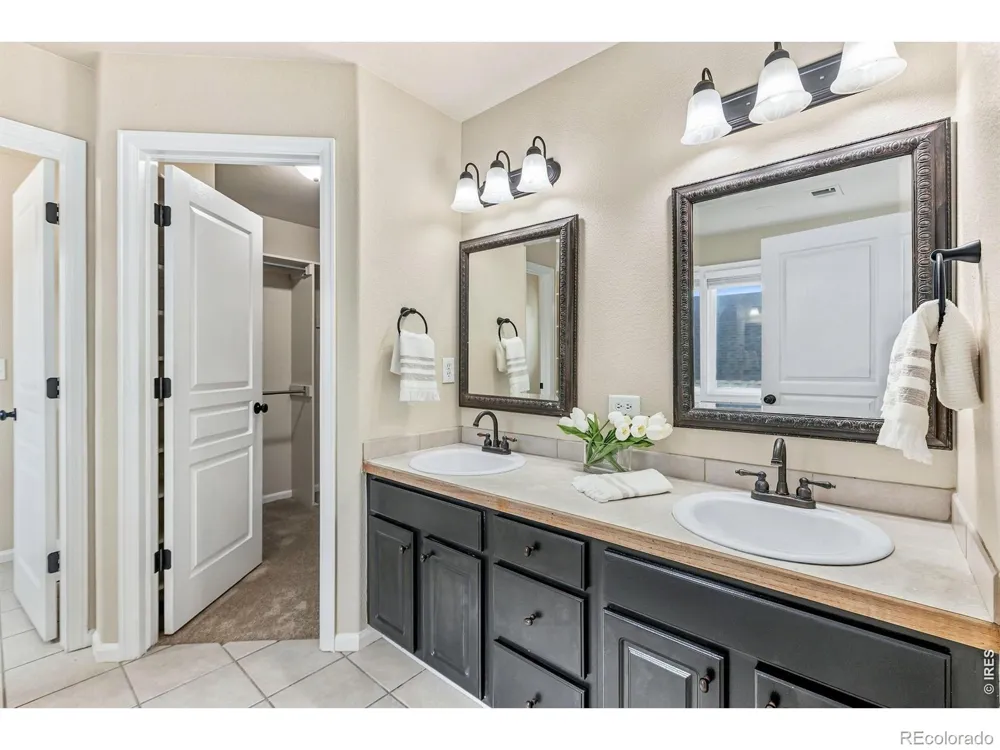 894 Durum Street Windsor, CO 80550