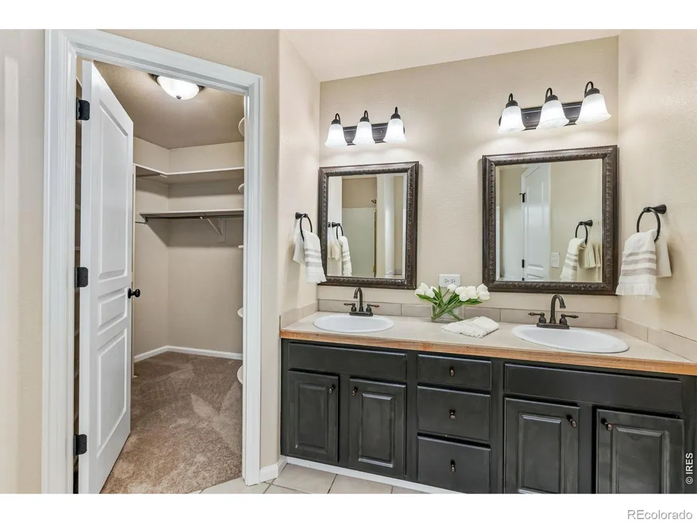 894 Durum Street Windsor, CO 80550