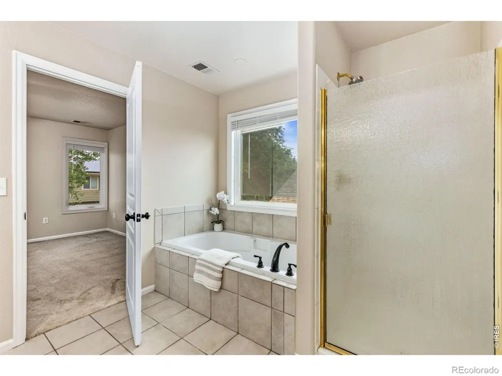 894 Durum Street Windsor, CO 80550