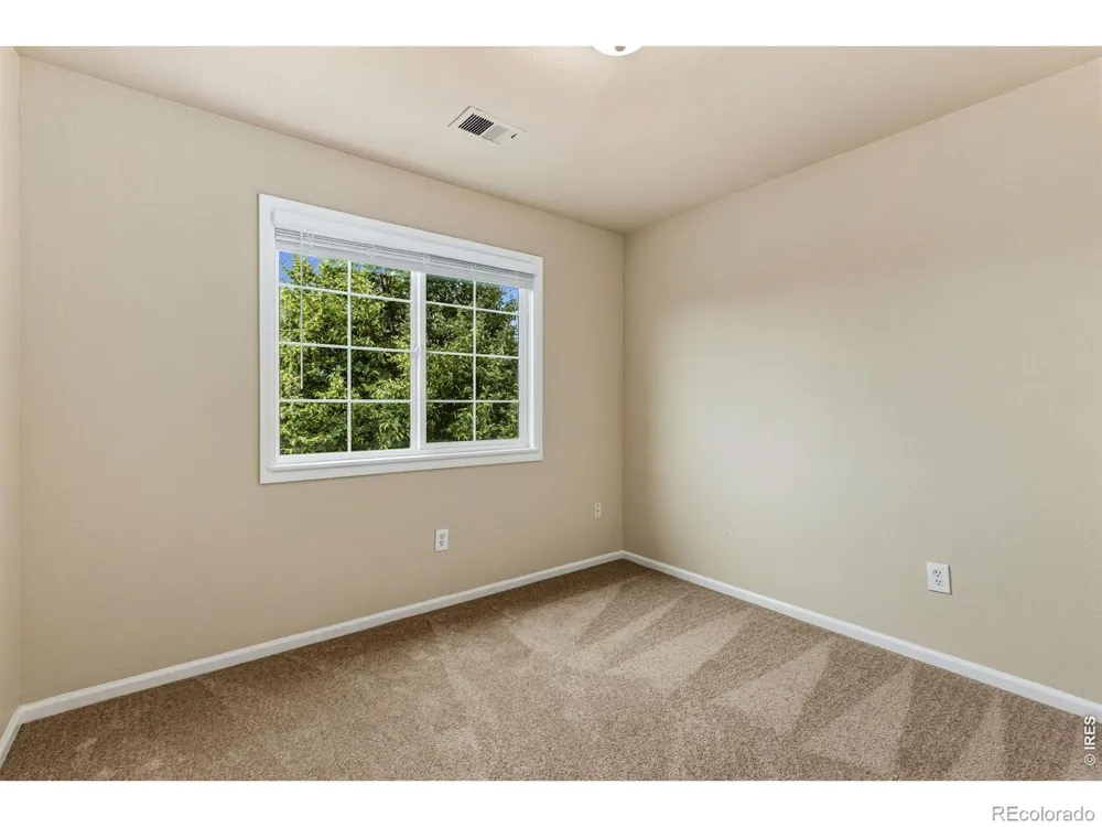894 Durum Street Windsor, CO 80550