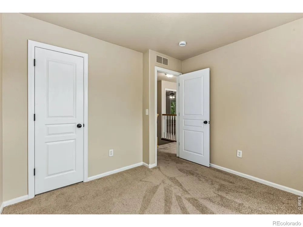 894 Durum Street Windsor, CO 80550